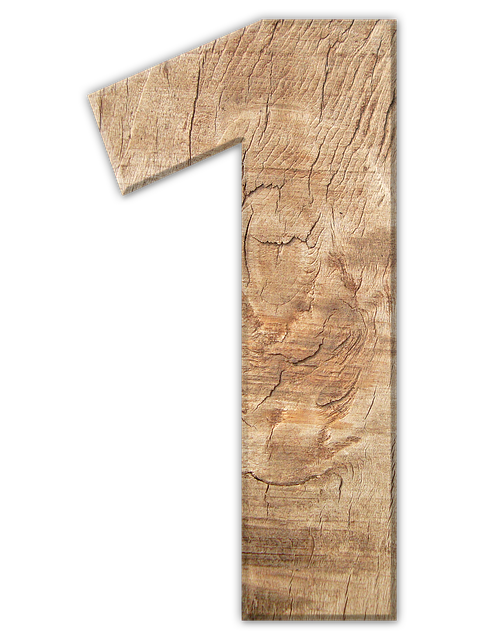 Implement Six Sigma in Healthcare: Project Templates for Sustainable Improvement