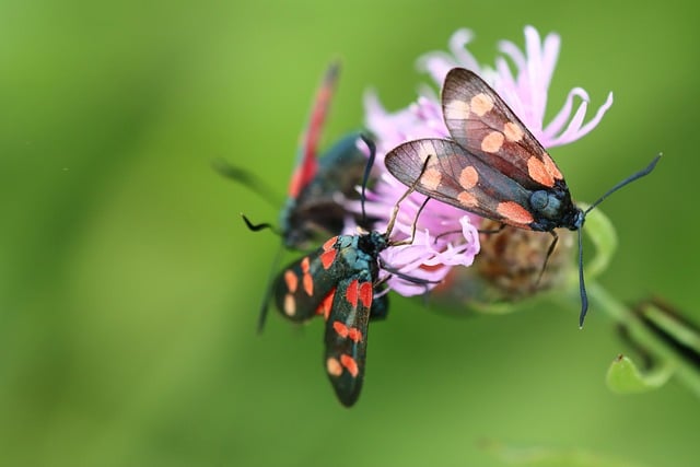 Six Sigma Projects in Healthcare